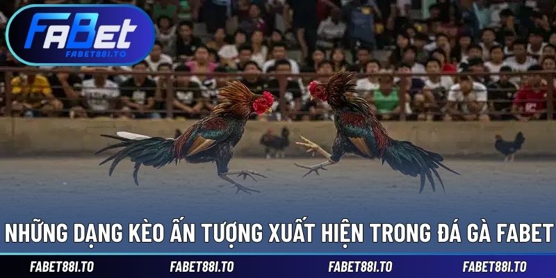 Đa dạng cửa cược ấn tượng trong sảnh đá gà
